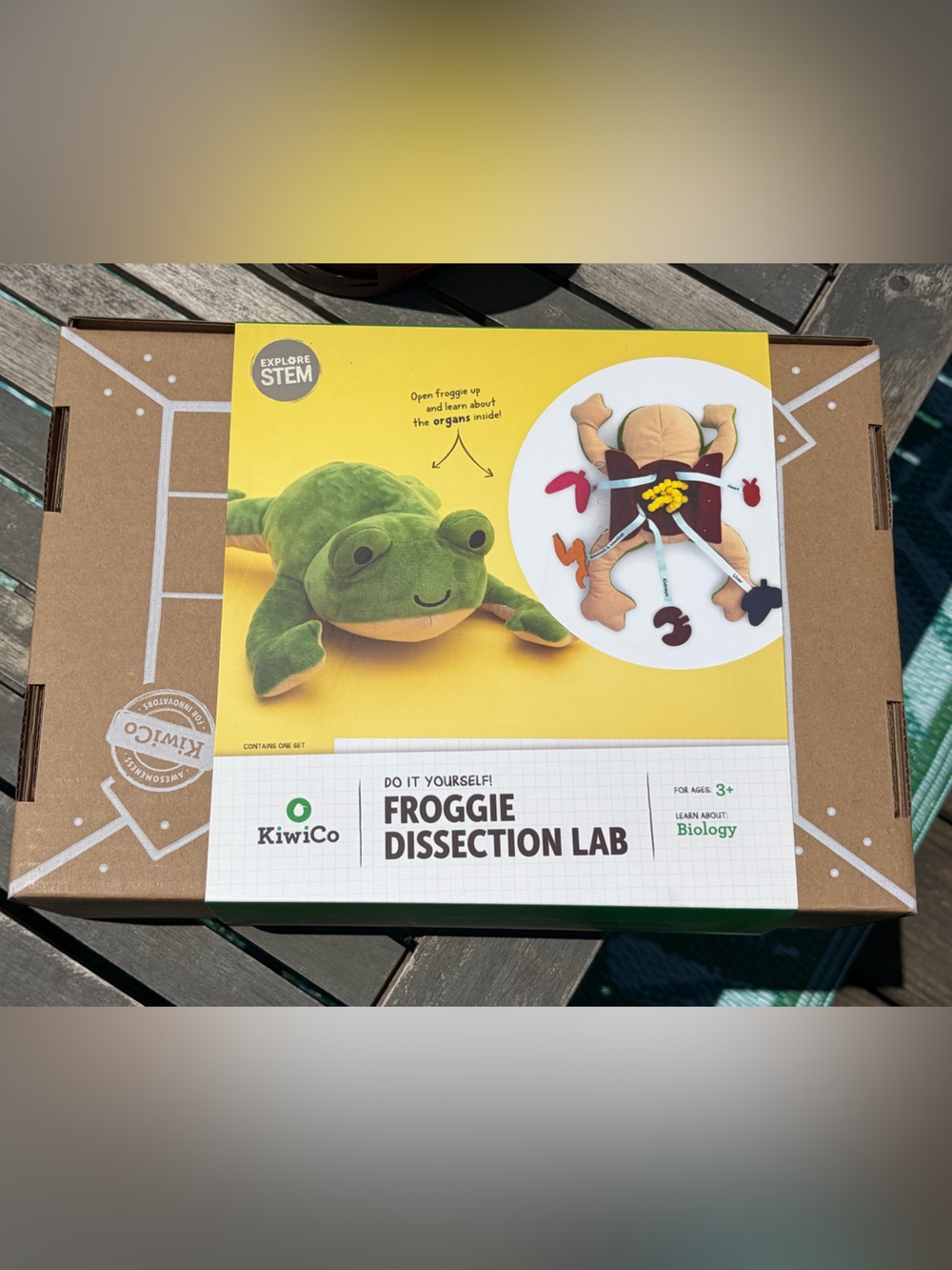 KiwiCo Crate Froggie Dissection Lab Plush Toy NIB